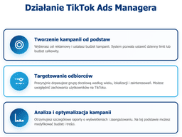 infografika przedstawiająca to, jak działa TikTok Ads Manager