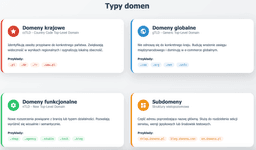 infografika przedstawiająca typy domen