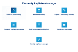 infografika przedstawiająca elementy kapitału własnego