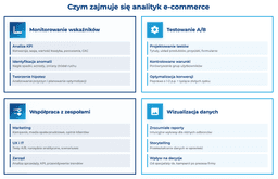 infografika przedstawiająca to, czym zajmuje się analityk e-commerce