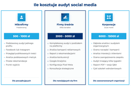 infografika przedstawiająca cennik audytu social media