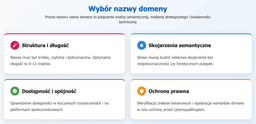 infografika przedstawiająca ważne aspekty wyboru nazwy domeny
