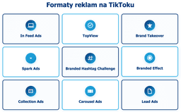 infografika przedstawiająca formaty reklam na tiktoku
