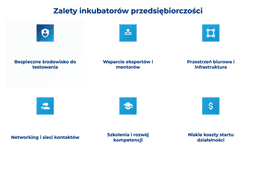 infografika przedstawiająca zalety inkubator&oacute;w przedsiębiorczości 
