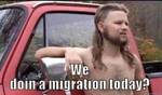 dobry plan migracji powzoli uniknąć&nbsp;problem&oacute;w