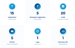 infografika przedstawiająca wytyczne reklam do kampanii Performance Max