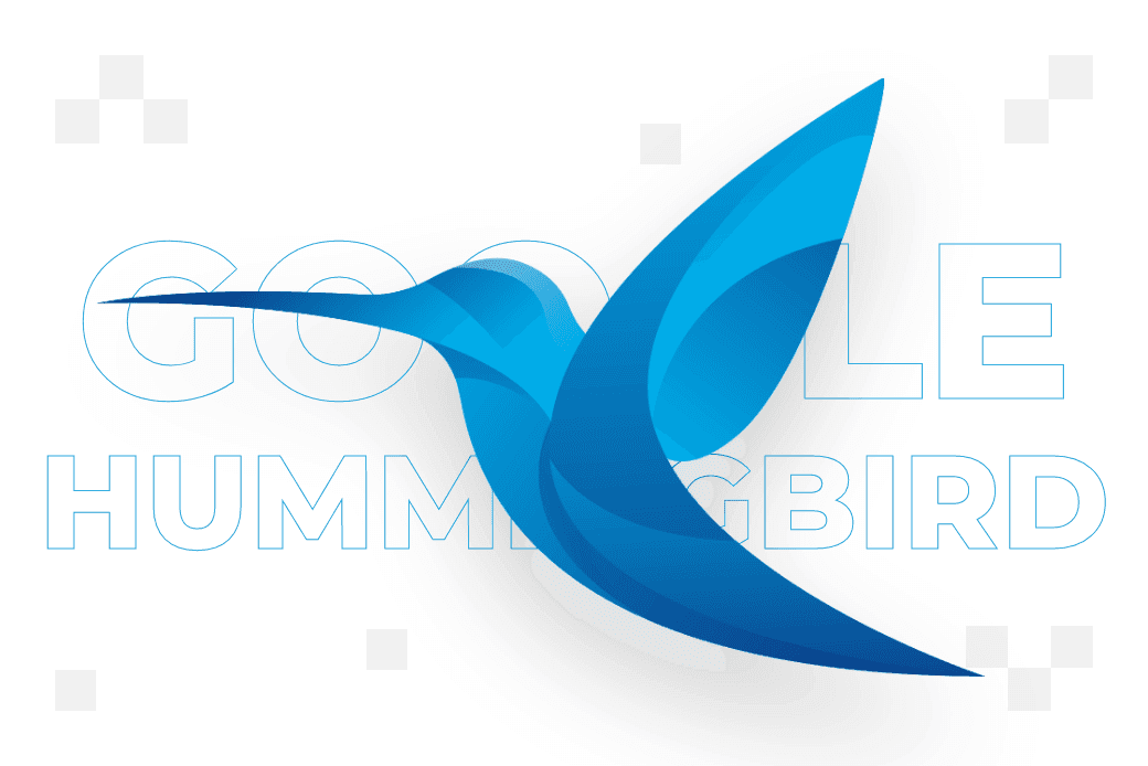 ​Google Hummingbird (Koliber) – jak działa i na czym polega algorytm