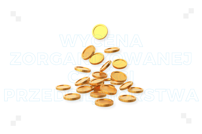 Wycena zorganizowanej części przedsiębiorstwa – co to jest i na czym polega?